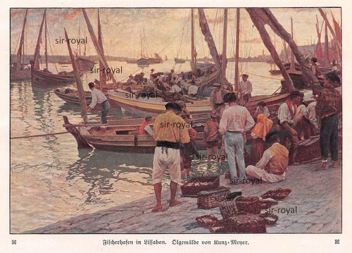 Porto pesca lisbona - pesca,