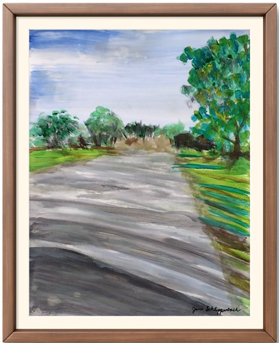 Florida country road moderna - road,