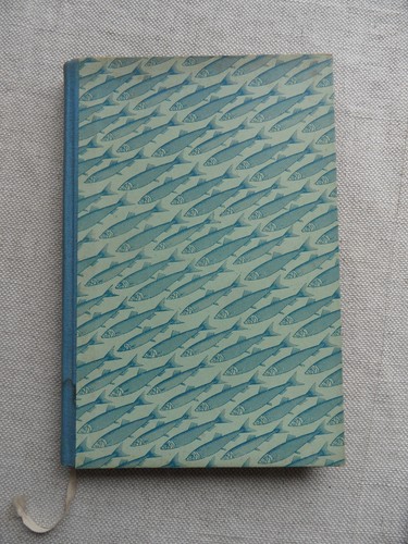 Benno pludra le aringhe - benno,