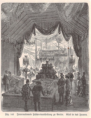 Esposizione internazionale - esposizione,